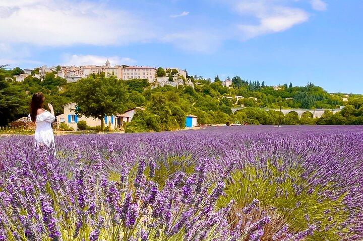 A day in the Lavenders and Villages of Provence