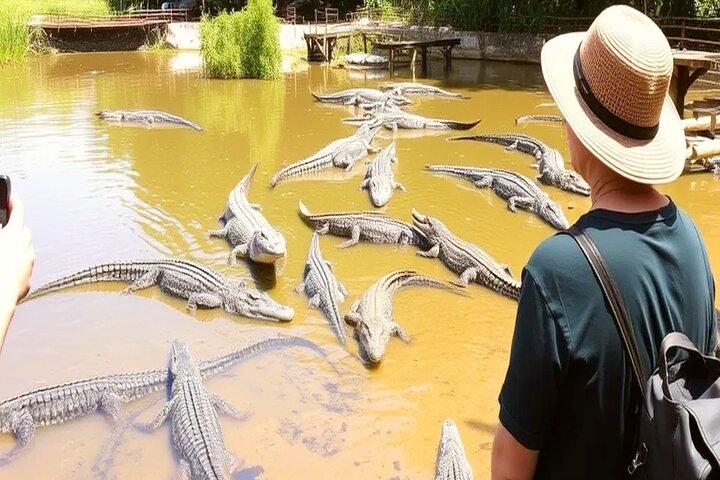Can Gio Mangrove Biosphere Reserve Canoe & Wildlife Tour