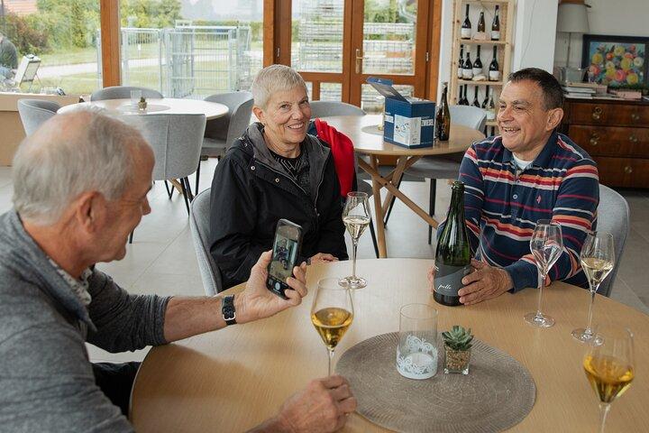 Full-Day Tokaj UNESCO World Heritage Site Private Wine Tour