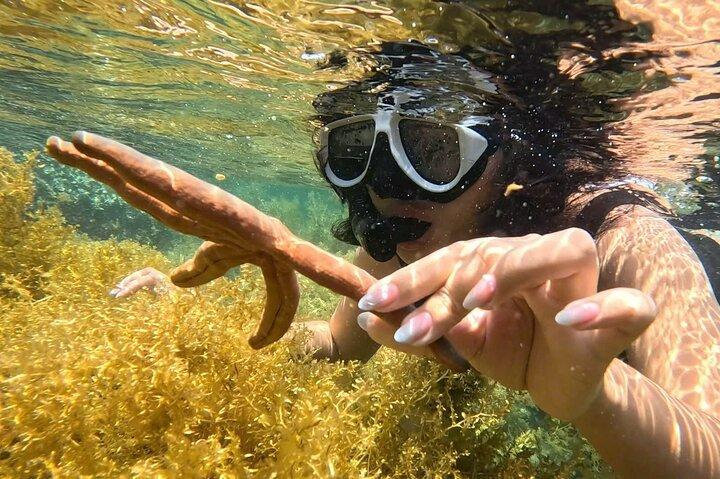 Nha Trang Half-Day Snorkeling Adventure with BBQ Onboard