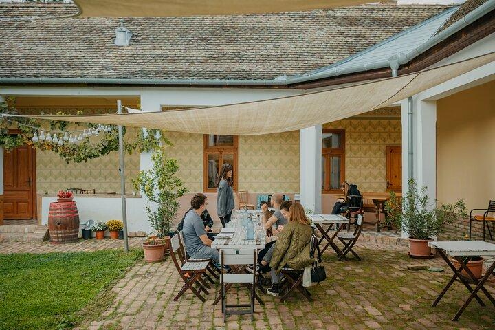 Full-Day Wine Tasting at Lake Balaton Private Tour from Budapest
