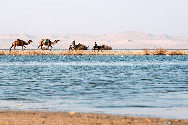 Private Fayoum Day Tour Wadi El Hitan Magic Lake