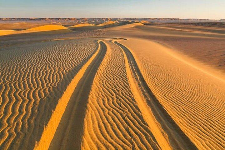 Private Fayoum Day Tour Wadi El Hitan Magic Lake