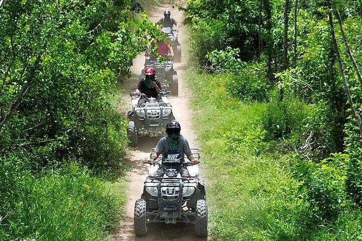 Cozumel ATV Jungle Adventure to Jade Cavern Cenote