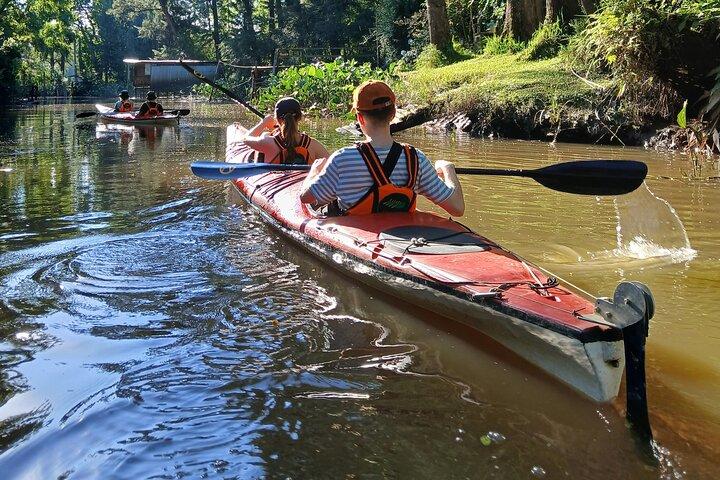 Kayaking Adventure in the Paraná River Delta
