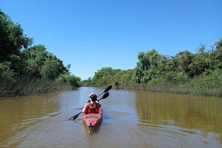 Kayaking Adventure in the Paraná River Delta