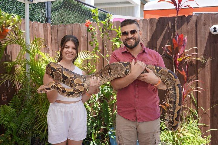Everglades Airboat Adventure with Roundtrip Bayside Transfer