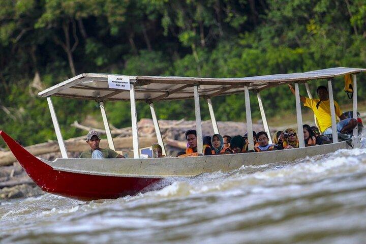 Kuala Lumpur: Taman Negara National Park Trek & Boat Ride