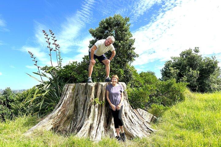 Auckland City Half Day Small Group Tour - Best Spots