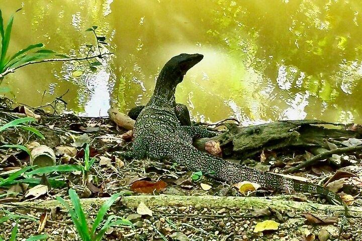 Bangkok Escape: Jungle Bike Tour in Bang Krachao