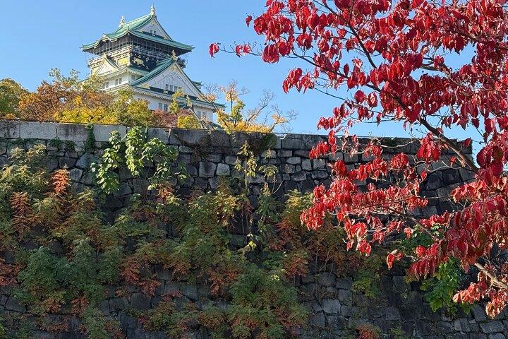Osaka Castle Guided Tour: Interior, Museum & Gardens