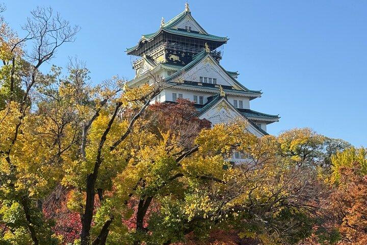 Osaka Castle Guided Tour: Interior, Museum & Gardens