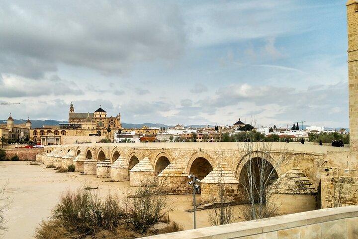 Private tour to Cordoba from Seville (several options)