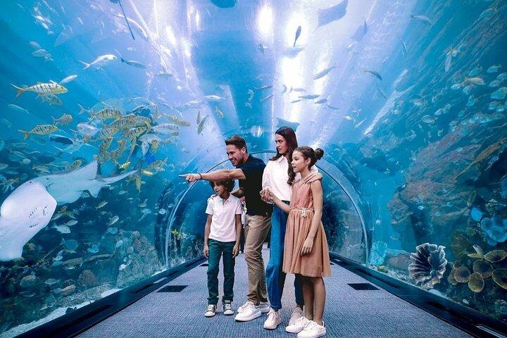 Dubai Underwater Zoo and Aquarium with Penguin Cove