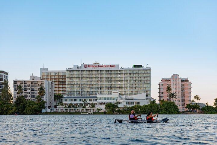 Clear Bottom Kayak Nature Tour in San Juan Condado Lagoon