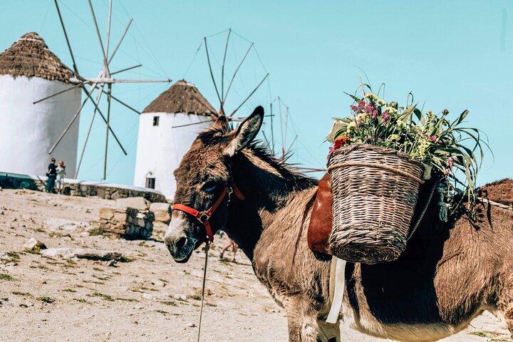 Design Your Perfect Island Day – Private Mykonos Tour