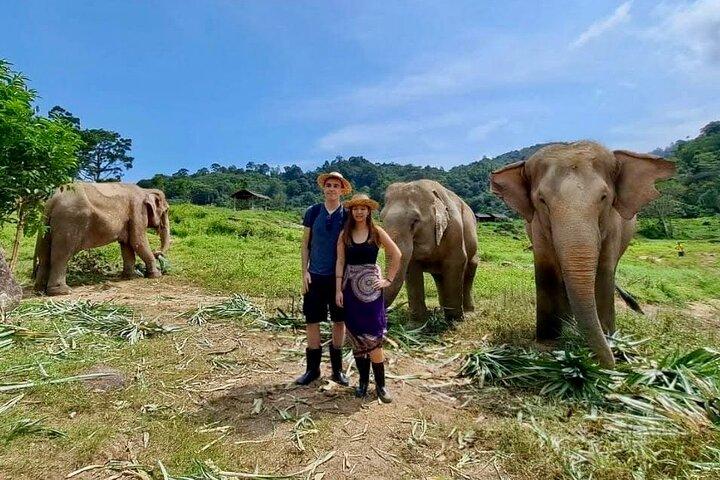 Phuket City Tour & Elephant Sanctuary – Town, Temple, Food & View