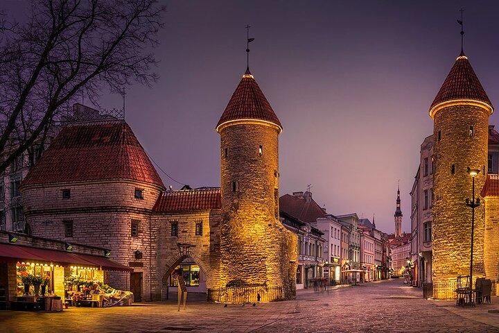 Tallinn Private Half Day Tour from Cruise Port