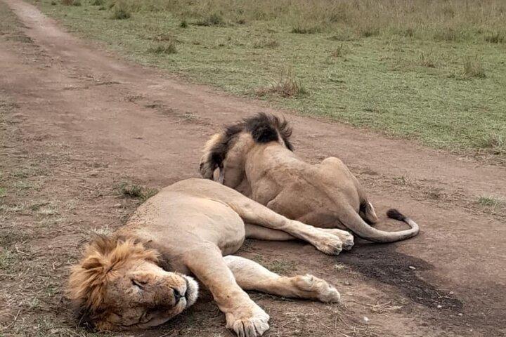 1 Day Tsavo East and West Extreme Wildlife Safari Adventure