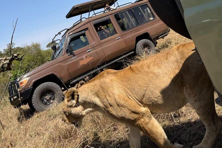 7days Kenya Wildlife Safari on 4x4 Land Cruiser Jeep