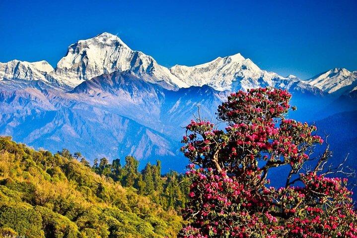 Nagarkot Sunrise Tour with Himalayan Views from Kathmandu