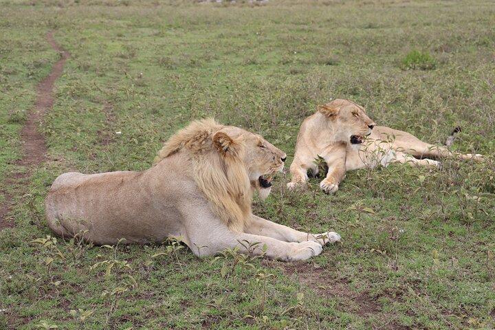 3 Day Wildlife and Hot Air Balloon Adventures