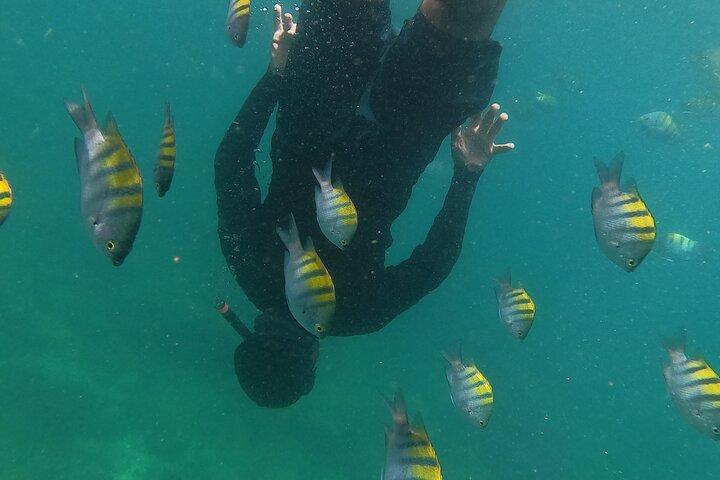 Hidden Beach Snorkeling Adventure