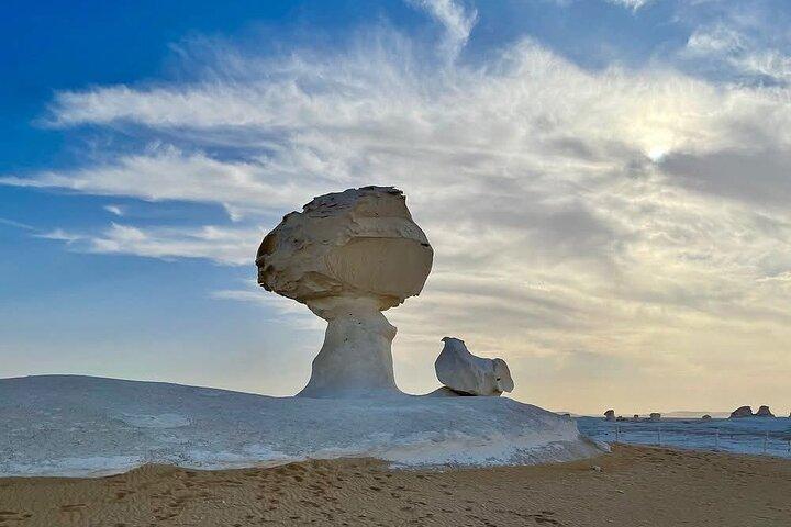2 Day Safari Camping Trip to the Oasis and the White Desert