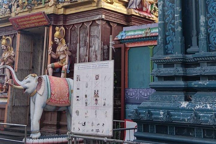 Royal City Tuk Tuk Low price in Colombo All inclusive City Tour
