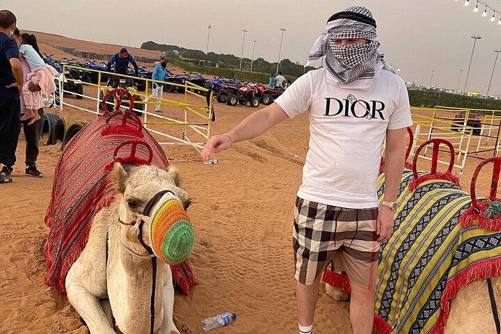 Evening Desert Safari Adventure