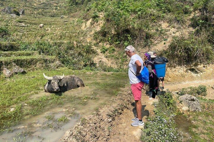 2-Day Sapa Trek from Hanoi with Scenic Trails Overnight Homestay