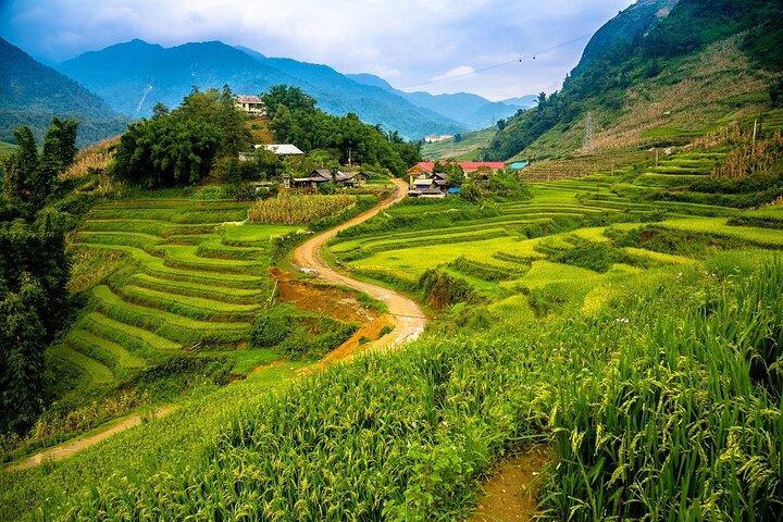 1 Day Sapa with Cat Cat Village and Dragon Glassbridge Tour