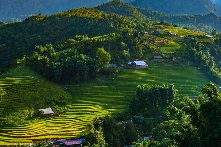 1 Day Sapa with Cat Cat Village and Dragon Glassbridge Tour