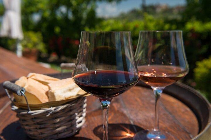 Tuscany Wines & Lunch: Montepulciano & Montalcino Experience