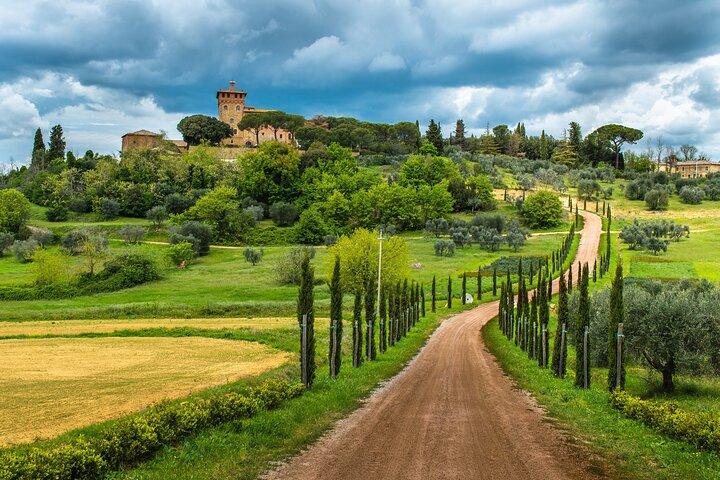 Tuscany Wines & Lunch: Montepulciano & Montalcino Experience