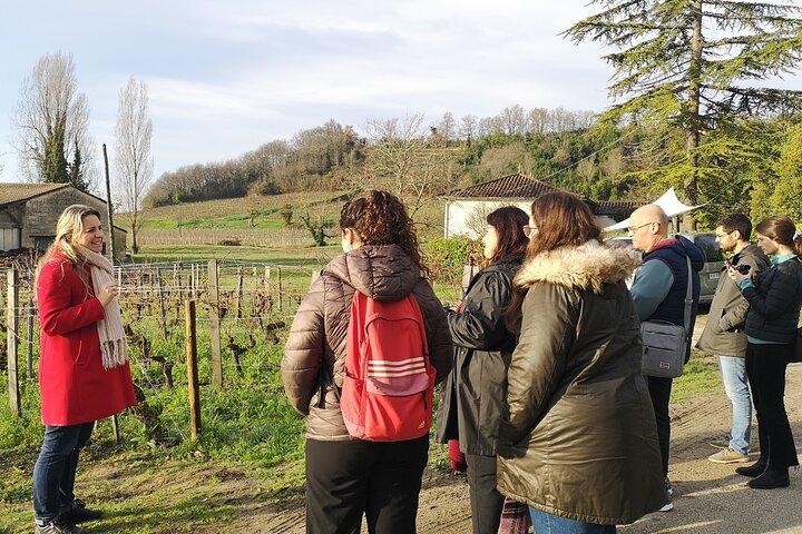 Saint-Émilion Wine Tour: Winery and Village