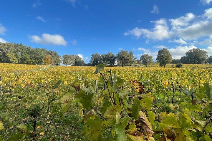 Saint-Émilion & Pomerol Wine Tour: Fine Wines