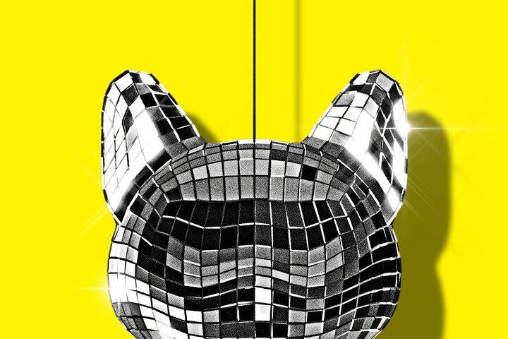 CATS: The Jellicle Ball on Broadway Ticket