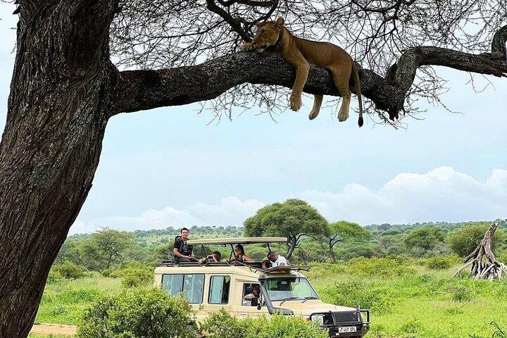 4 Days Best of Tanzania Safari Tour - Big five Experience