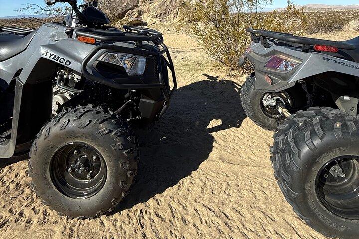 ATV Rentals Thrilling Desert Adventures