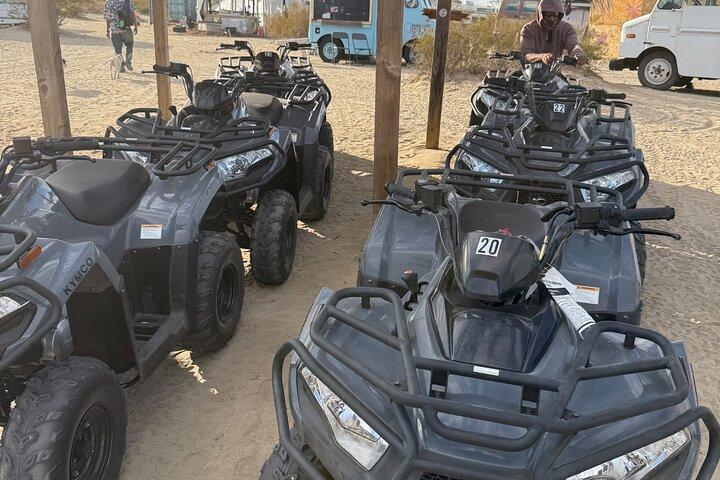 ATV Rentals Thrilling Desert Adventures