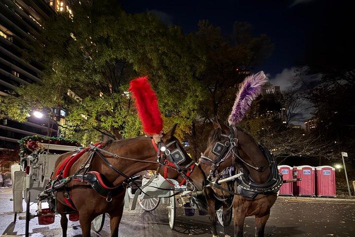 Central Park Carriage Ride NYC’s Timeless Tour