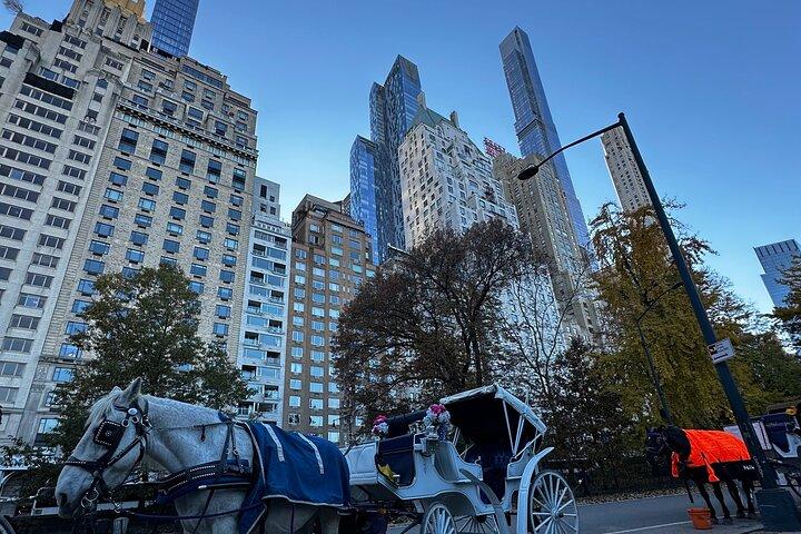 Central Park Carriage Ride NYC’s Timeless Tour