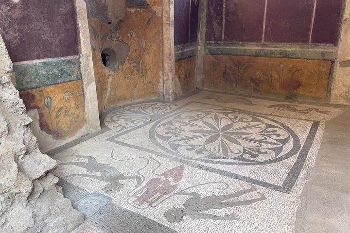 Pompeii Small Group Archaeologist Guided Tour