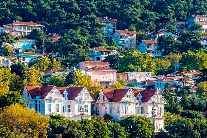 Istanbul Full Day Princess Islands Tour with Lunch