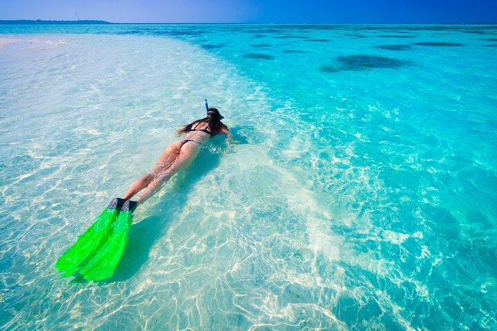 Full-Day Boat Tour to Prison Island and Nakupenda Sandbank