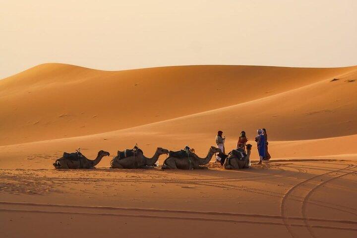 5-Day Tour from Marrakech to Merzouga Desert