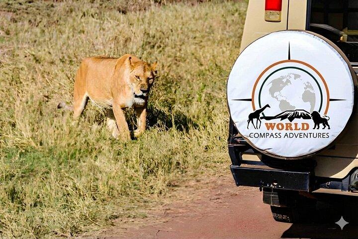 4-Day Tarangire, Serengeti & Ngorongoro safari (Private/Group)