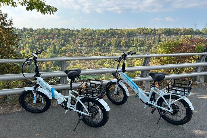 Niagara River Guided E-Bike Adventure Tour for Two USA