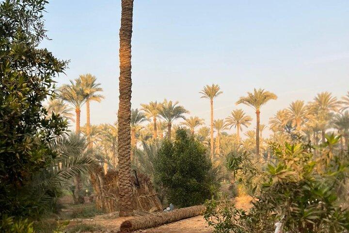 Breakfast, Lunch or Dinner: Exclusive Egyptian Countryside Exp